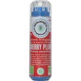 06 Prunus (Cherry Plum) - 130.0 unites - Fleurs de BACH - Fleurs de Bach Original -5010