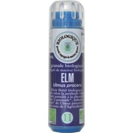 11 Orme (Elm) - 130.0 unites - Fleurs de BACH - Fleurs de Bach Original -5015