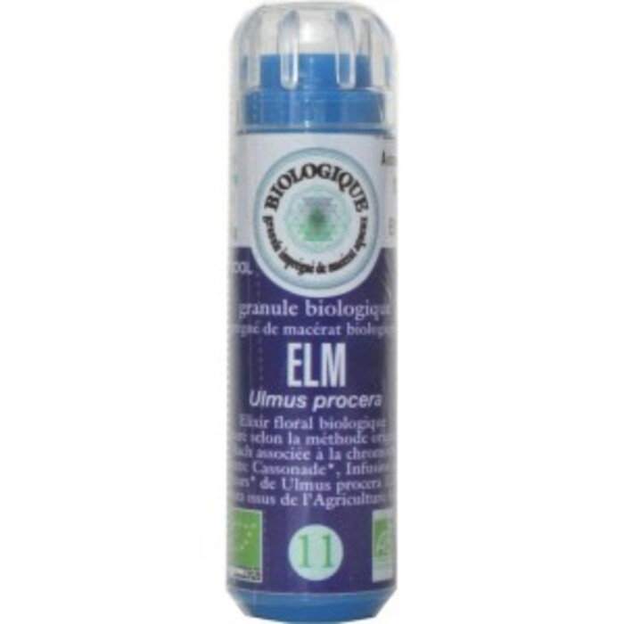 Photo de 11 orme (elm) Fleurs de bach original 11 orme (elm) Fleurs de bach original-5015