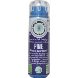 24 Pin Sylvestre (Pine) - 130.0 unites - Fleurs de BACH - Fleurs de Bach Original -5028