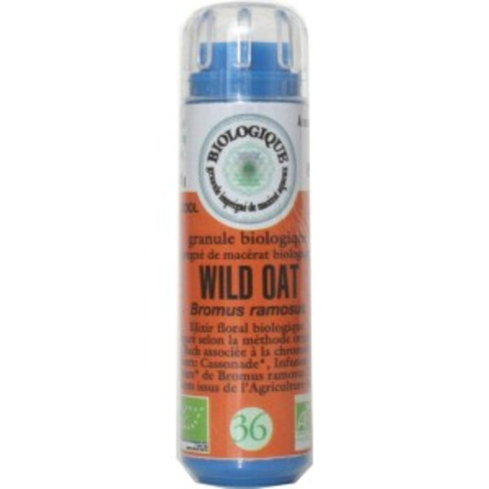 Photo de 36 folle avoine (wild oat) Fleurs de bach original 36 folle avoine (wild oat) Fleurs de bach original-5040