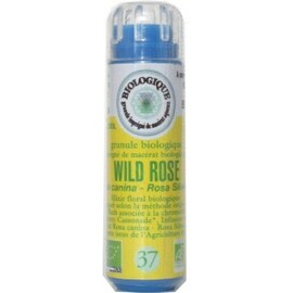 37 Eglantier (Wild Rose) - 130.0 unites - Fleurs de BACH - Fleurs de Bach Original -5042