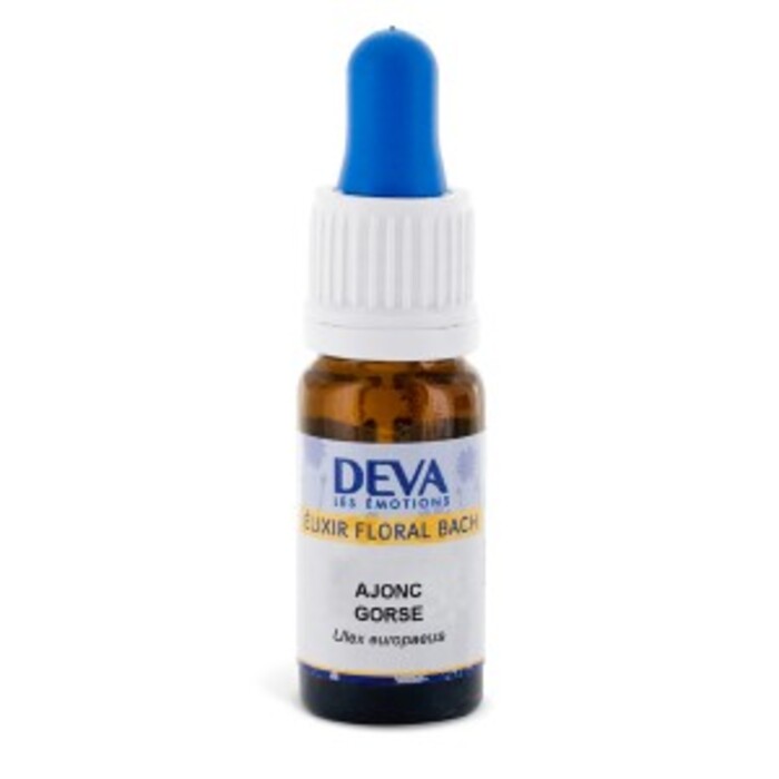 Photo de Ajonc bio Deva Ajonc bio Deva-15642