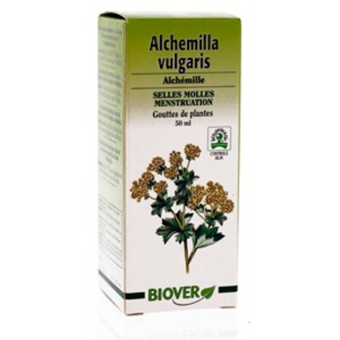 Photo de Alchemilla vulgaris (alchemille) bio Biover Alchemilla vulgaris (alchemille) bio Biover-8948