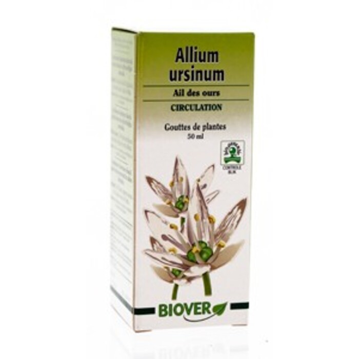 Allium ursinum (ail des ours) bio Biover-8949