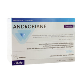 Androbiane conception - pileje -202672