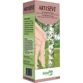 Artisève Bio - 250 ml - divers - Gemmobase -136155