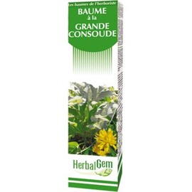 Baume de la grande consoude - 60.0 g - Autres - Gemmobase Une peau saine et rayonnante-7540