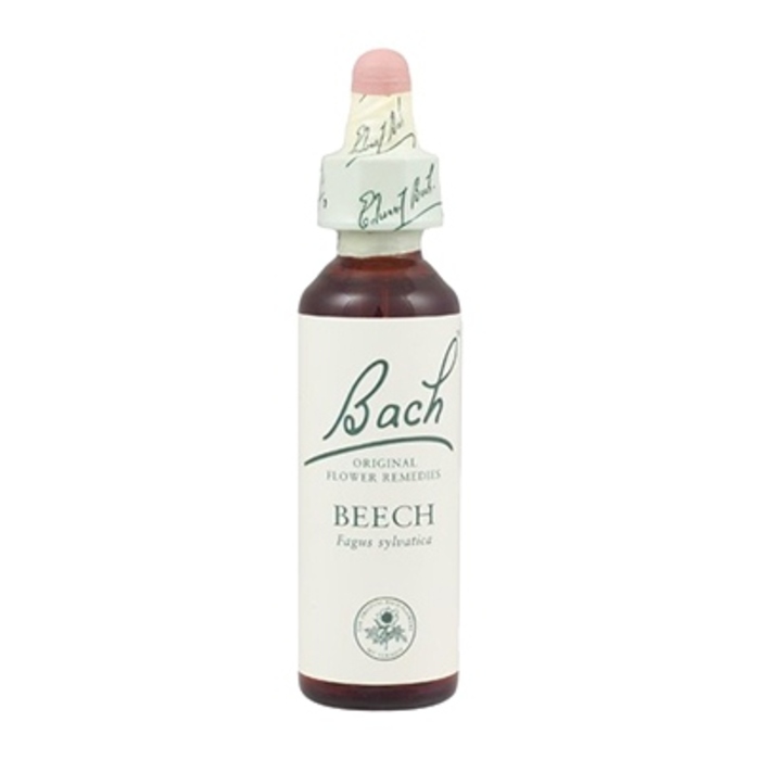 Photo de Beech n°3 Bach original Beech n°3 Bach original-8129