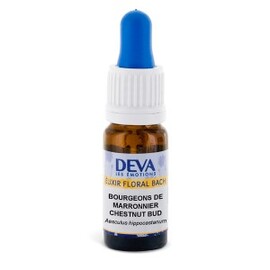 Bourgeon de marronnier bio - 10.0 ml - Elixirs floraux Deva bio - Deva Compréhension, attention-15643