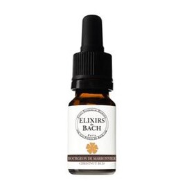 Bourgeon marronnier bio - 10.0 ml - Elixirs unitaires - Fleurs Essences et Harmonie -13424