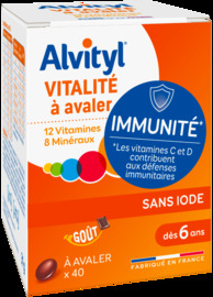 Bte 40 29,2g comprimes vitalite - multivitamines - alvityl -147725