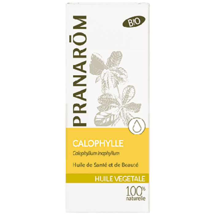 Photo de Calophylle Pranarôm Calophylle Pranarôm-12393