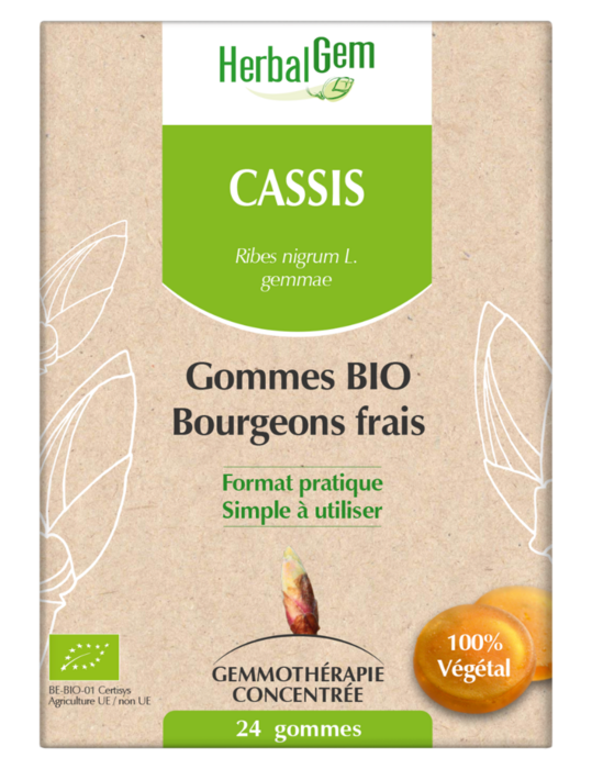 Photo de Cassis bio 24 gom Herbalgem Cassis bio 24 gom Herbalgem-227200