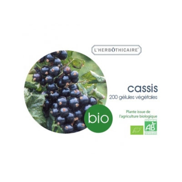 Photo de Cassis bio L'herbothicaire Cassis bio L'herbothicaire-198000