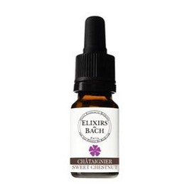 Châtaignier bio - 10.0 ml - Elixirs unitaires - Fleurs Essences et Harmonie -13448