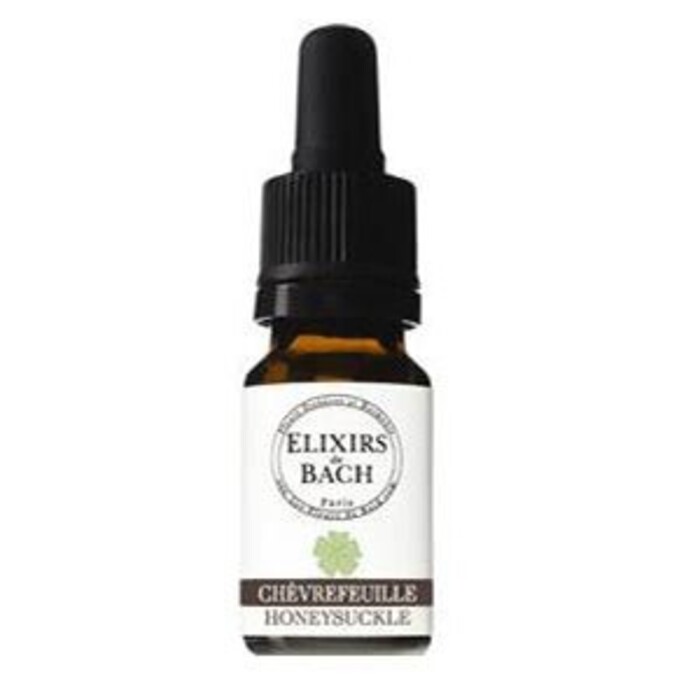 Photo de Chèvrefeuille bio Fleurs essences et harmonie Chèvrefeuille bio Fleurs essences et harmonie-13433