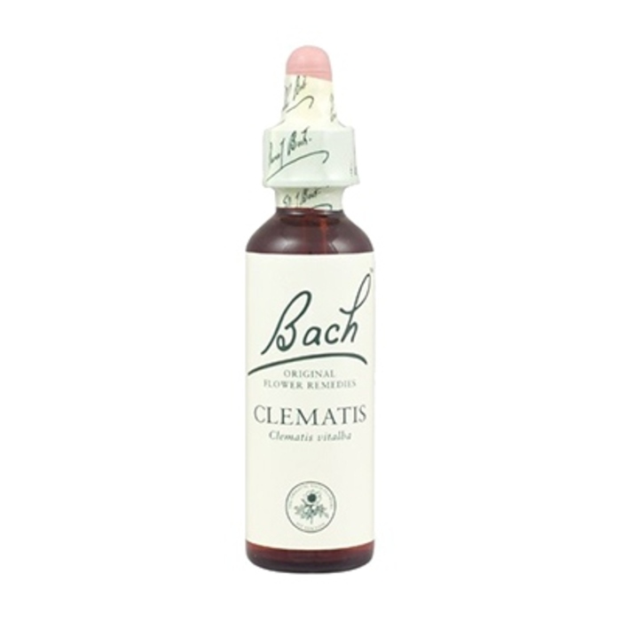 Photo de Clematis n°9 Bach original Clematis n°9 Bach original-8147