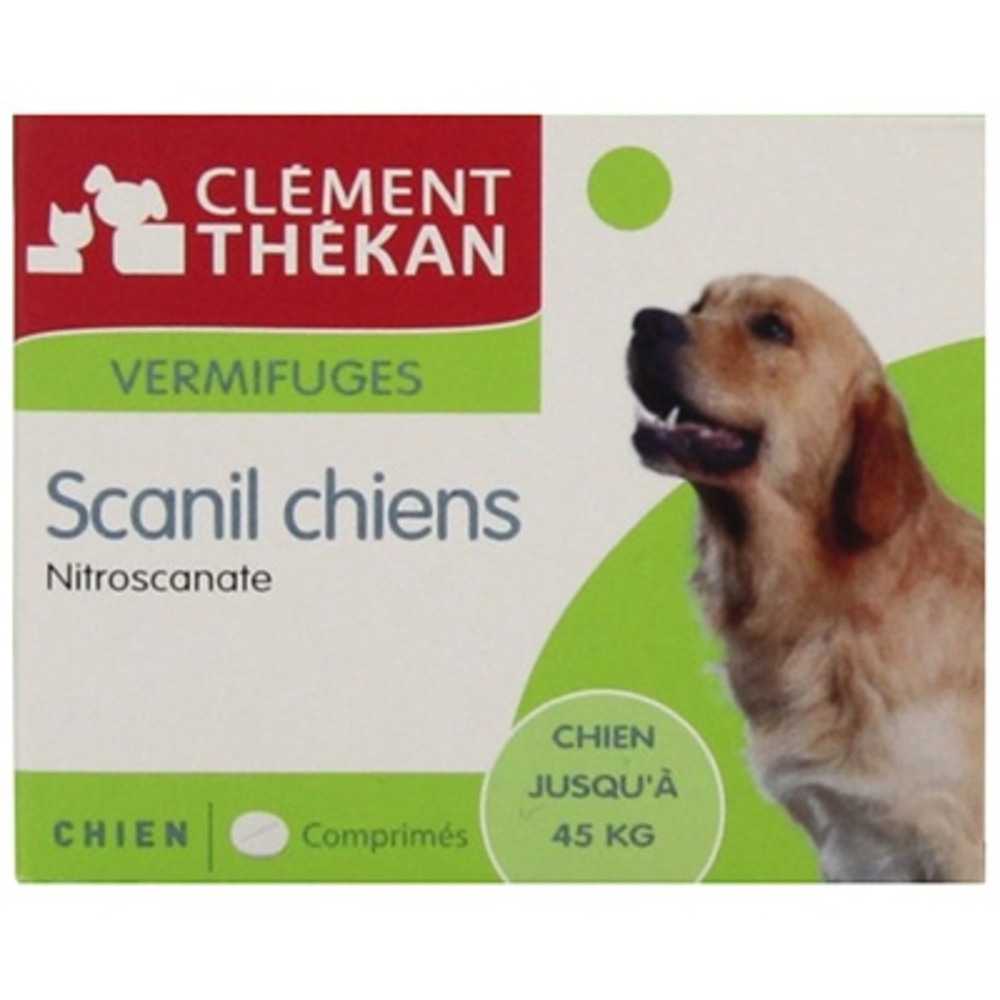 Photo de Clement thekan scanil chiens Clement thekan Clement thekan scanil chiens Clement thekan-144197