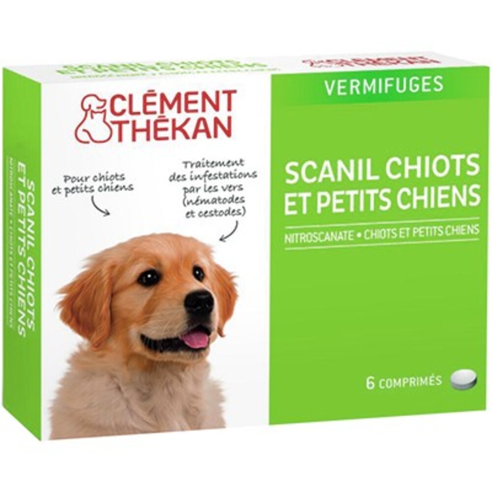 Photo de Clement thekan scanil chiots et petits chiens Clement thekan Clement thekan scanil chiots et petits chiens Clement thekan-144198