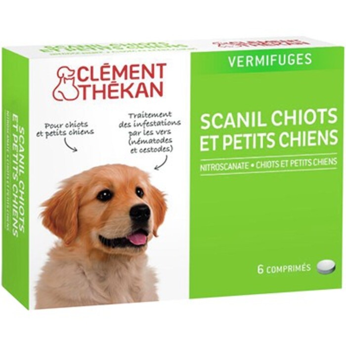 Photo de Clement thekan scanil chiots et petits chiens Clement thekan Clement thekan scanil chiots et petits chiens Clement thekan-144198