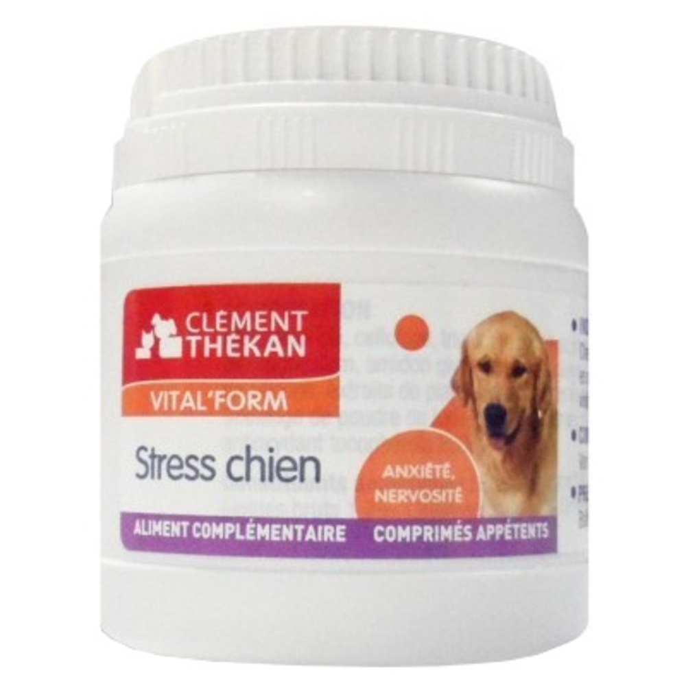 Photo de Clement thekan vital form stress chien Clement thekan Clement thekan vital form stress chien Clement thekan-146441