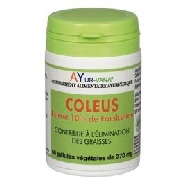 Coleus extrait 10 % de forskoline bio - 60 gélules... - divers - ayur-vana -141718