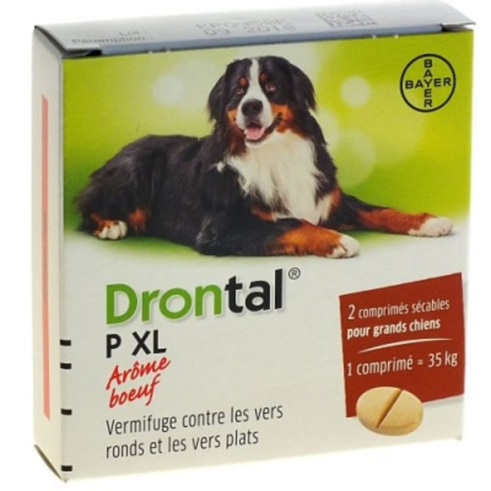 Prix de Bayer Drontal P XL 2 comprimés vermifuge chiens arôme boeuf