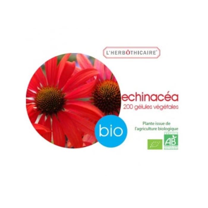 Photo de Echinacéa bio - eco L'herbothicaire Echinacéa bio - eco L'herbothicaire-198026