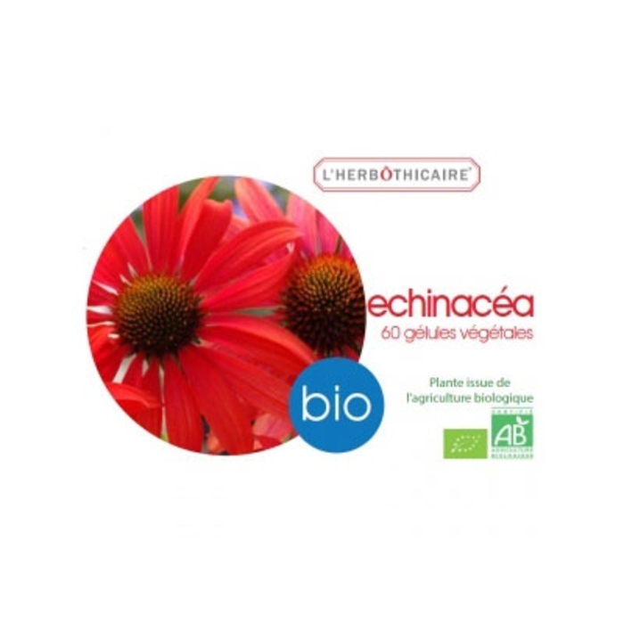 Photo de Echinacéa bio L'herbothicaire Echinacéa bio L'herbothicaire-200044