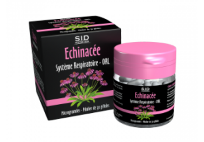 Photo de Echinacée Sid Echinacée Sid-191578