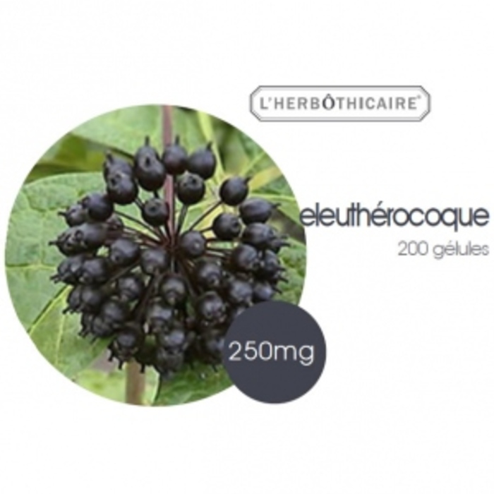Eleuthérocoque L'herbothicaire-198001