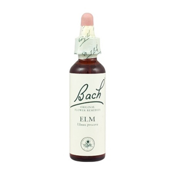 Photo de Elm n°11 Bach original Elm n°11 Bach original-8167