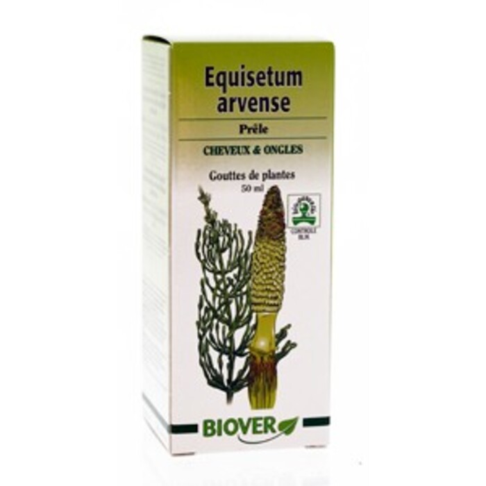 Photo de Equisetum arvense (prêle) bio Biover Equisetum arvense (prêle) bio Biover-8972