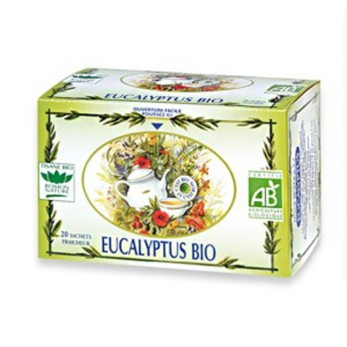 Photo de Eucalyptus Romon nature Eucalyptus Romon nature-16187