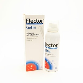 FLECTOR 1% Gel en Flacon - 100g - 100.0 G - GENEVRIER -193404