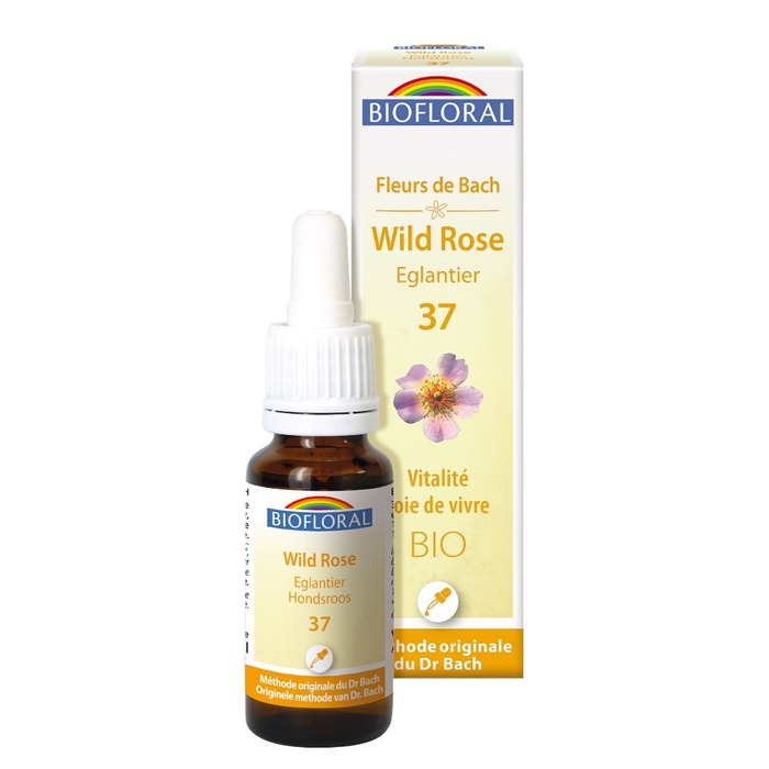 Photo de Fleurs de bach 37 wild rose - eglantier Biofloral Fleurs de bach 37 wild rose - eglantier Biofloral-1328
