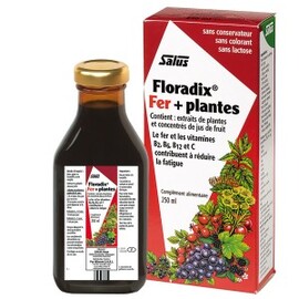 Floradix fer + plantes - 250.0 ml - Toniques aux plantes sans alcooll - Salus Vitalité et Energie-120546