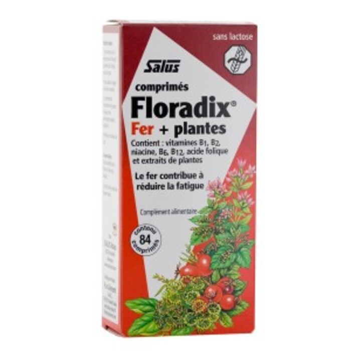 Floradix fer + plantes - 84 comprimés Salus-137930