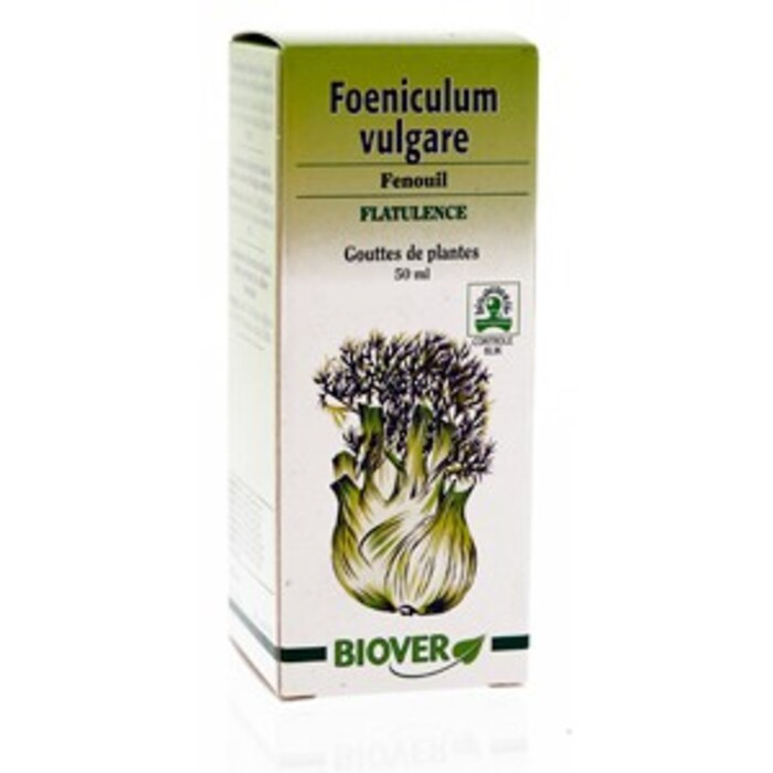 Photo de Foeniculum vulgare (fenouil) bio Biover Foeniculum vulgare (fenouil) bio Biover-8974