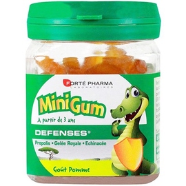 FORTE PHARMA Minigum Défenses - 50 Gommes - Forté Pharma -210522