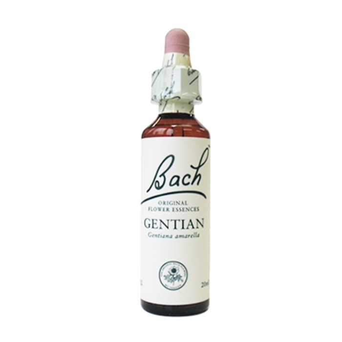 Photo de Gentiant n°12 Bach original Gentiant n°12 Bach original-8152
