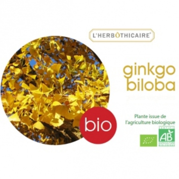 Ginkgo biloba bio - ampoules L'herbothicaire-200763