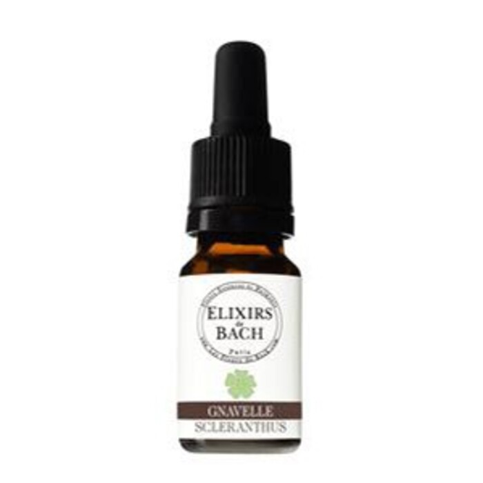 Photo de Gnavelle (alène) bio Fleurs essences et harmonie Gnavelle (alène) bio Fleurs essences et harmonie-13446