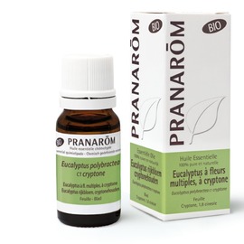 HE Eucalyptus à fleurs multiples, à cryptone Bio - 10 ml - pranarôm -189756