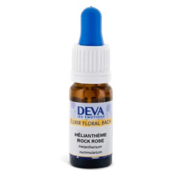 Photo de Hélianthème bio Deva Hélianthème bio Deva-15657