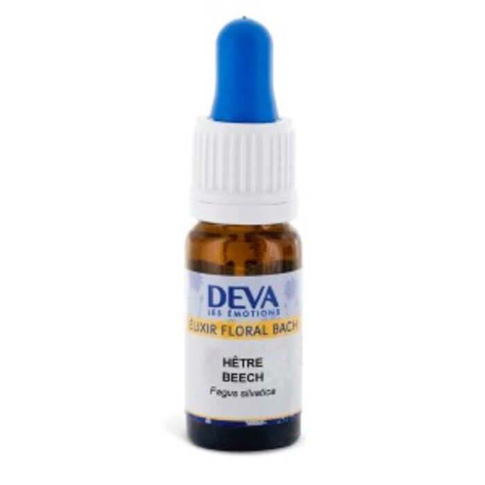 Photo de Hêtre bio Deva Hêtre bio Deva-15658