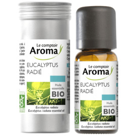 Huile essentielle bio eucalyptus radié 10ml - le comptoir aroma -221998