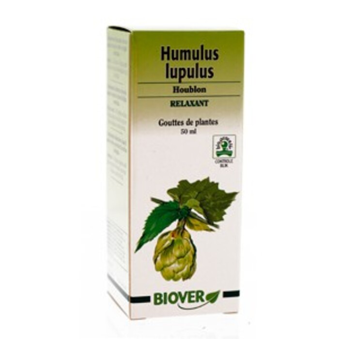 Humulus lupulus (houblon) bio Biover-8980