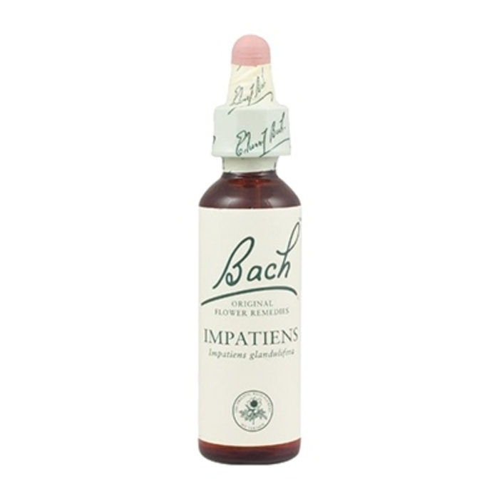 Photo de Impatiens n°18 Bach original Impatiens n°18 Bach original-8154